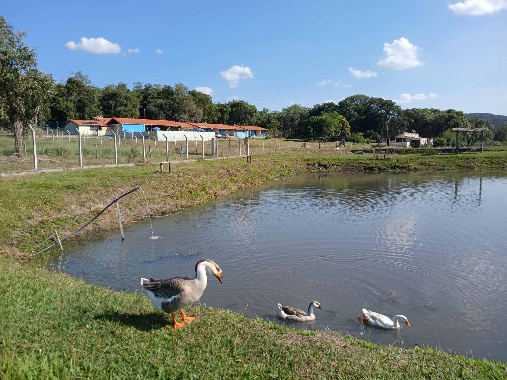 Hotel Fazenda Recanto Do Monte Alegre Piraju Exteriör bild