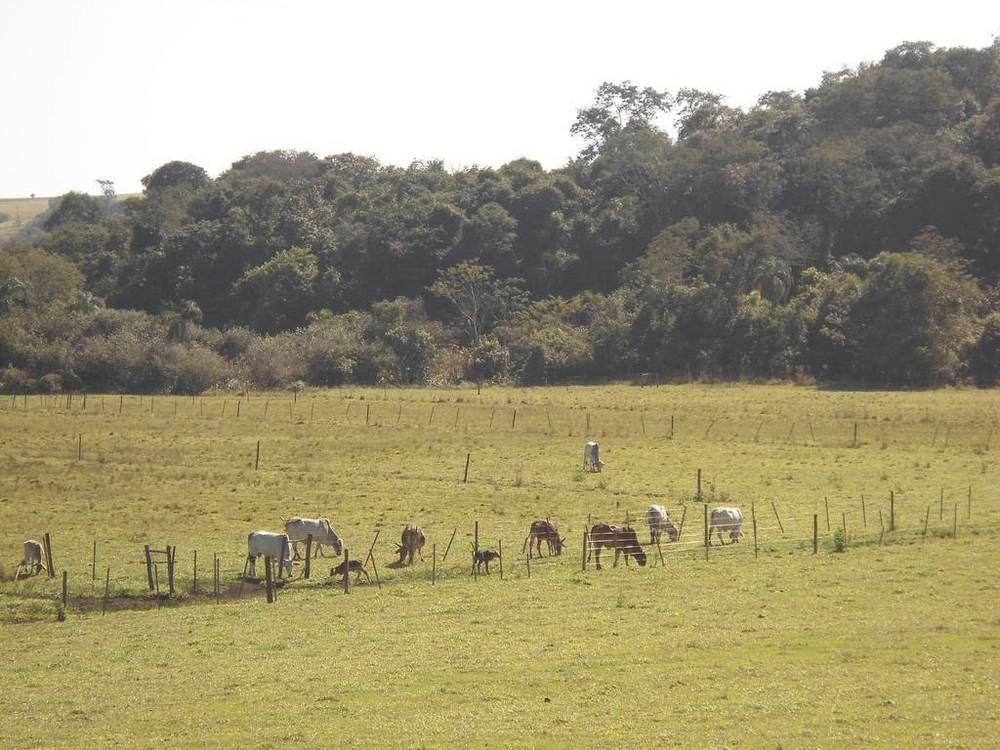 Hotel Fazenda Recanto Do Monte Alegre Piraju Exteriör bild
